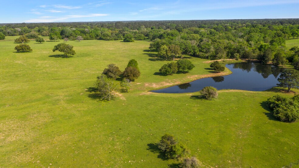 More Photos Of 26039 Magnolia Rd, Hockley Land For Sale