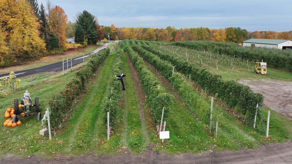 More Photos Of 5630 Norris Ave, North Rose Land For Sale