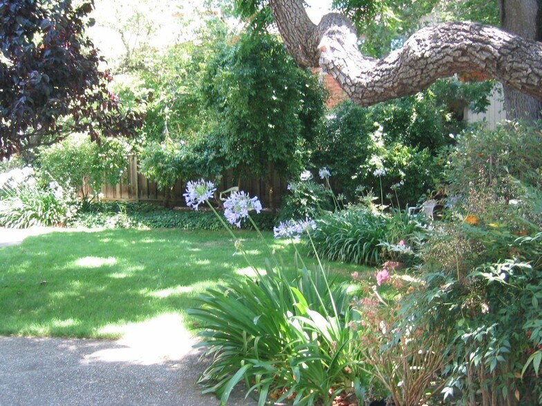 More Photos Of 837 Cowper St, Palo Alto Apartments For Sale