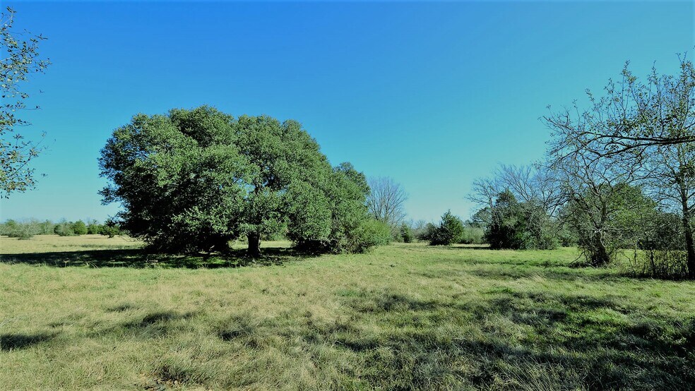 More Photos Of 26266 Fields Store Rd., Waller Land For Sale