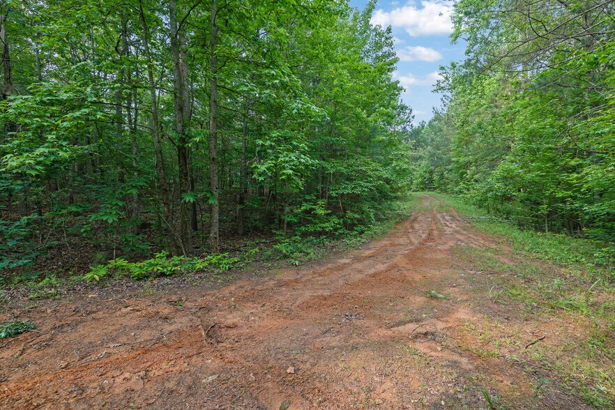 More Photos Of 0 Theodore Cox Cir, Canton Land For Sale