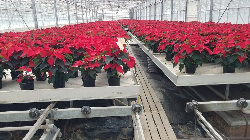 More Photos Of 2265 Cabrillo Hwy S, Half Moon Bay Land For Sale