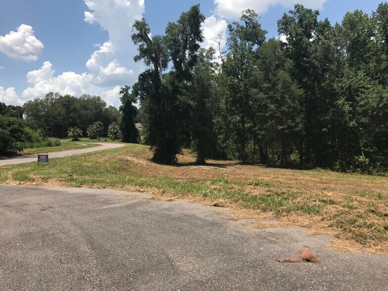 More Photos Of 2139 Charter Pointe Way, Middleburg Land For Sale