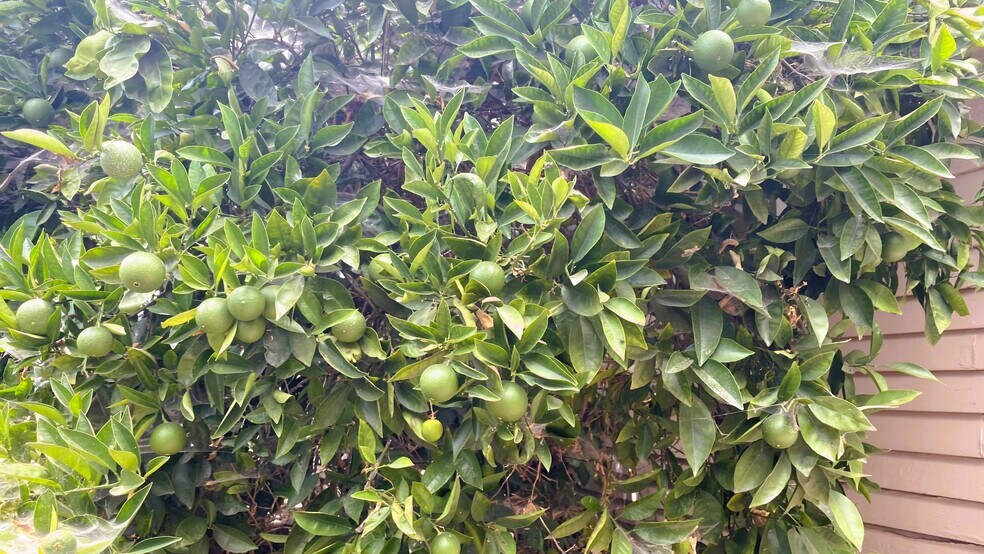 More Photos Of 13201 9th St, Chino Office For Sale