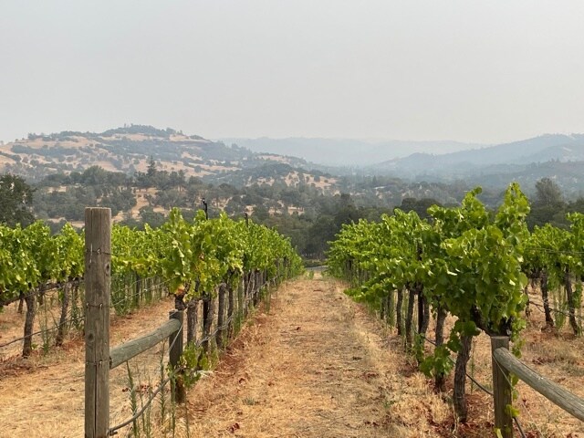 More Photos Of 4280 Red Hill Rd, Vallecito Winery Vineyard For Sale