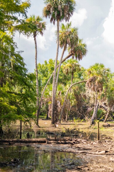 More Photos Of SW Addison #A ave, Arcadia Land For Sale