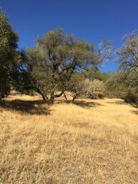 More Photos Of Ranch Camp Road @ Omo Ranch Road, Somerset Land For Sale