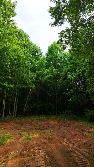More Photos Of 00 221 Highway South Hwy, Laurens Land For Sale