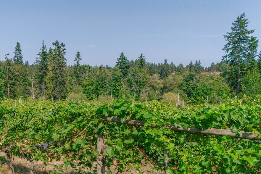 More Photos Of 2300 E Wellington Rd, Nanaimo Land For Sale