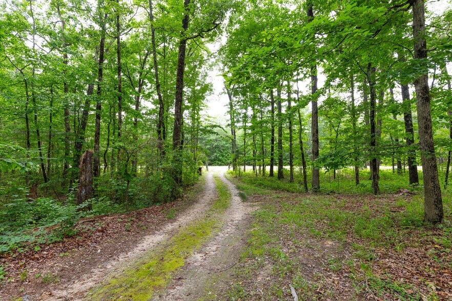 More Photos Of 2105 Highway 104, White Hall Land For Sale