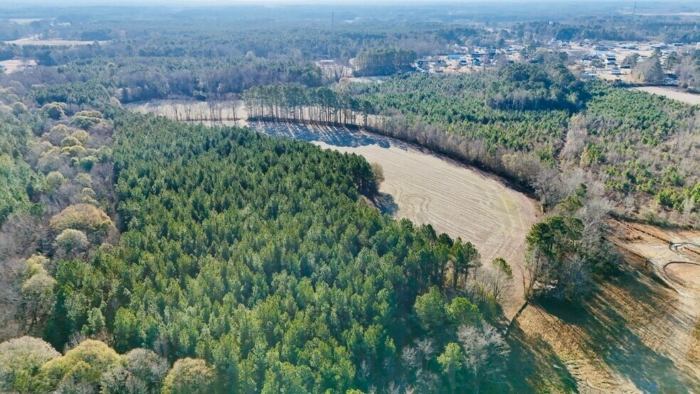 More Photos Of US Highway 301 N, Micro Land For Sale