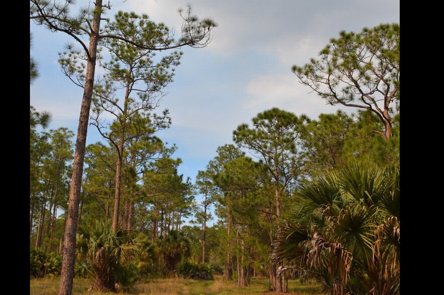 More Photos Of 8425 SW Martin Hwy, Palm City Land For Sale