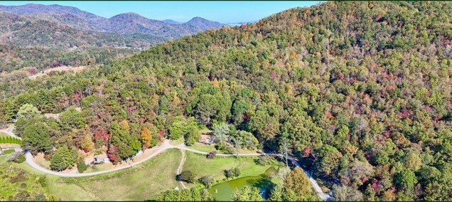 Primary Photo Of 638 Chalet Village, Dillard Land For Sale