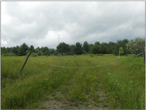 Primary Photo Of 246 Roe rd, Willseyville Land For Sale