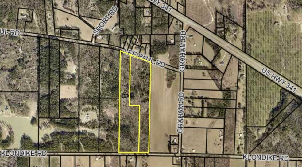 More Photos Of 250 Lee Paul Rd, Hawkinsville Land For Sale