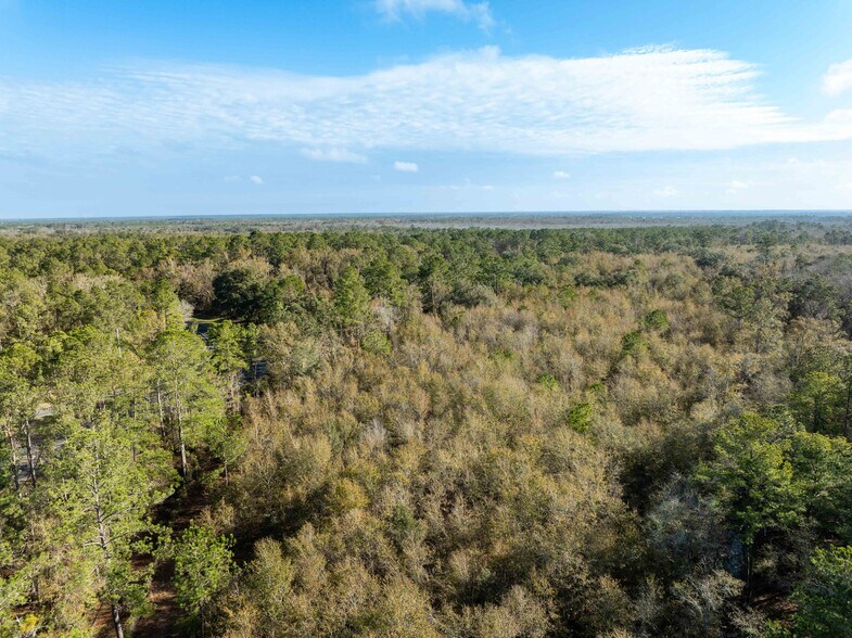 More Photos Of TBD 137, Wellborn Land For Sale