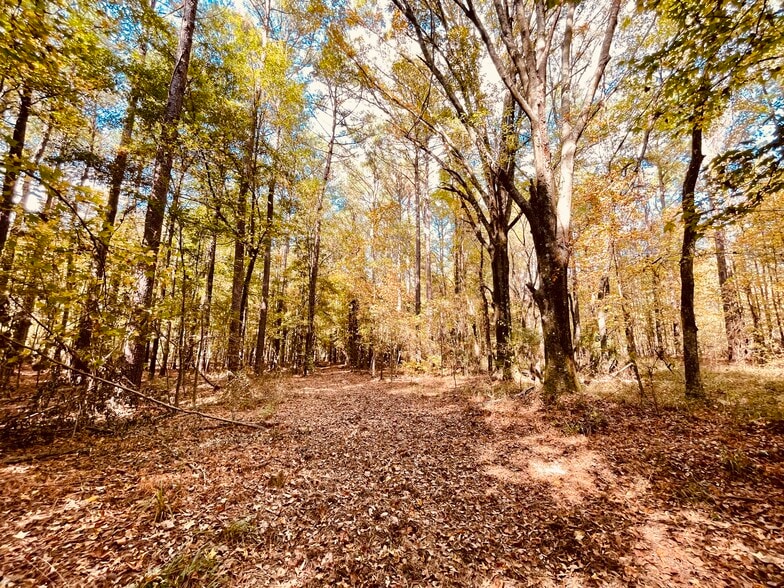 More Photos Of MS Highway 12, Durant Land For Sale