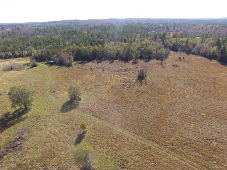 More Photos Of 14.16 Ac Tract 2 TBD Percy Howard rd, Huntsville Land For Sale