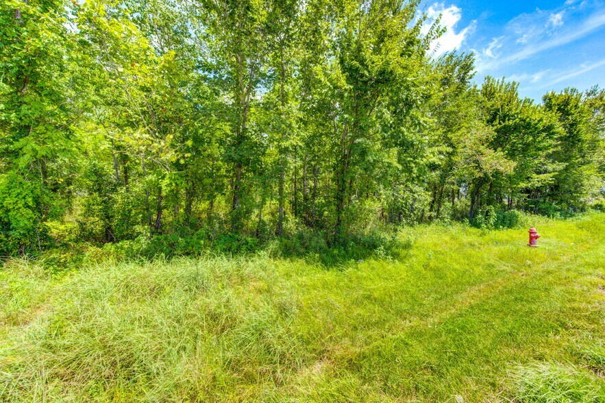 More Photos Of 0 Hwy 35 - CR 133 - 19.07ac, Alvin Land For Sale