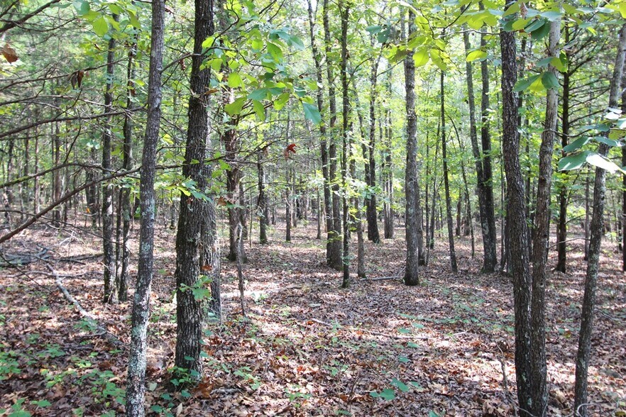 More Photos Of 226 Blythe rd, Greenbrier Land For Sale