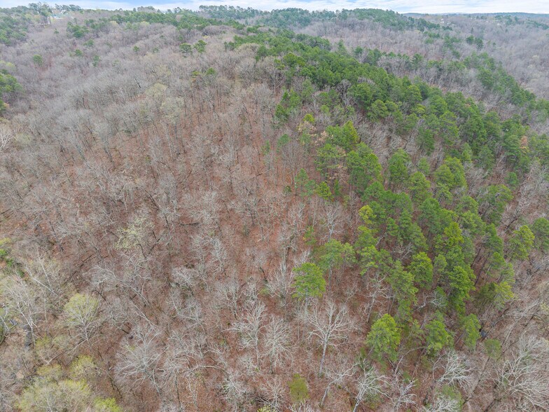 More Photos Of 0 Jordan Drive, Eureka Springs Land For Sale