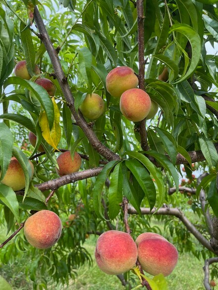 More Photos Of 280-300 Matson Hill Rd, South Glastonbury Land For Sale