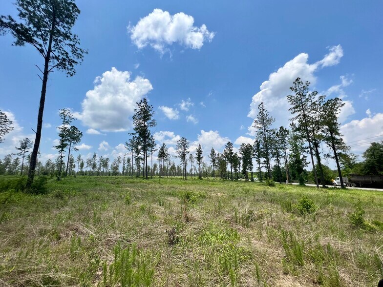 More Photos Of County Road 64, Robertsdale Land For Sale