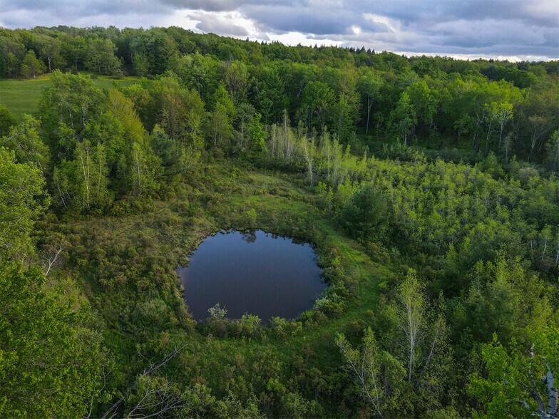 More Photos Of 1 Snow Hill Rd, Parksville Land For Sale