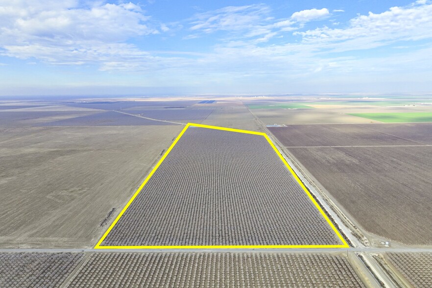 Primary Photo Of +/- 121.84 Acres Pistachios, Five Points Land For Sale