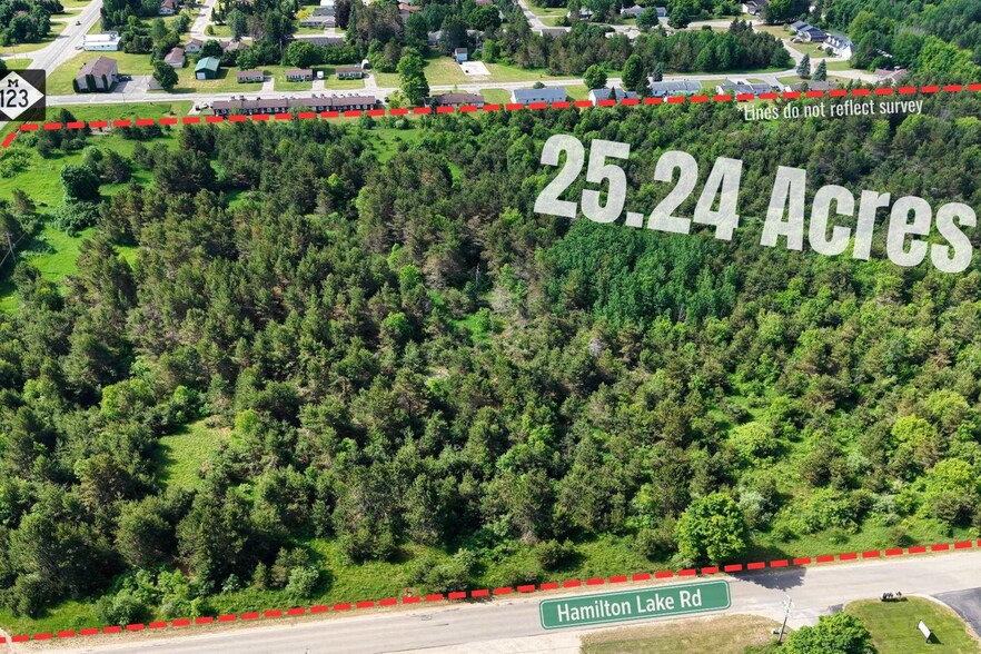 Primary Photo Of TBDState Highway M-123, Newberry Land For Sale