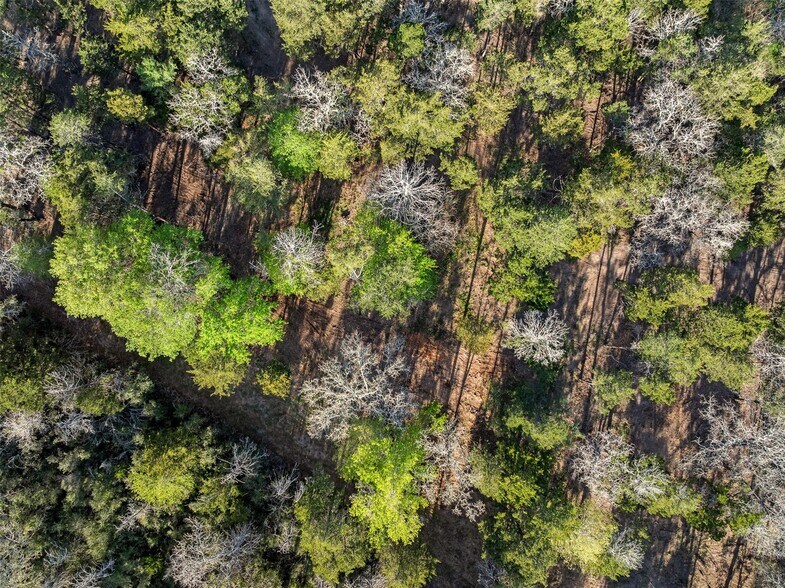 More Photos Of 4759 159, Fayetteville Land For Sale