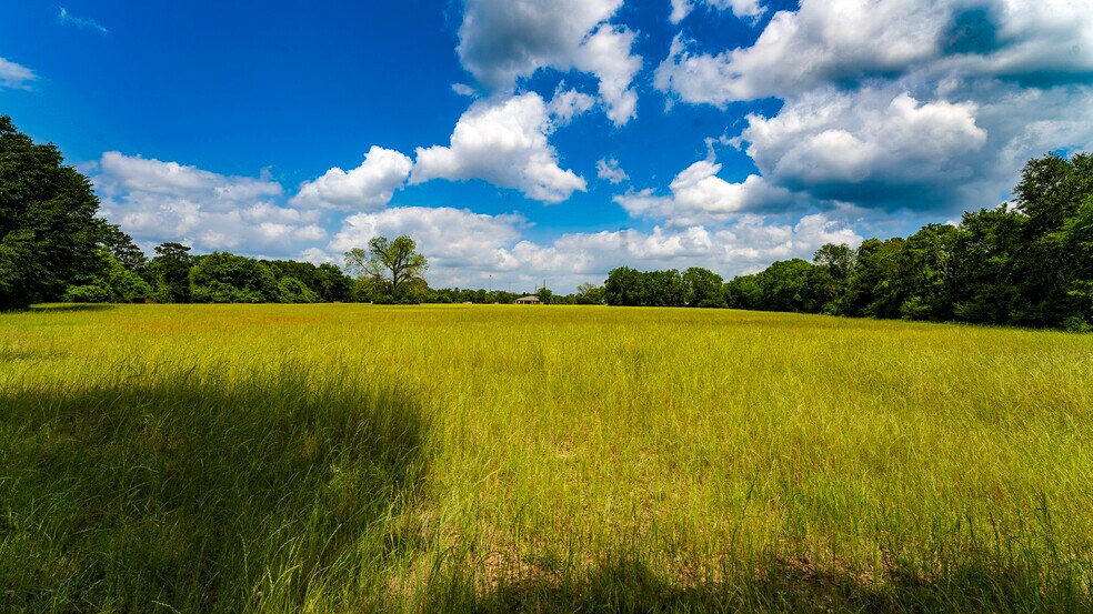 More Photos Of 000 Farm to Market Road 1488, Magnolia Land For Sale