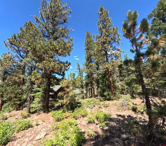 More Photos Of 48 Ponderosa Trl, Durango Land For Sale