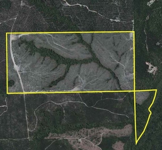 Primary Photo Of GA Tract 32055, Rupert Land For Sale