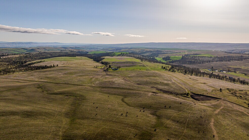 More Photos Of 81338 Rail Hollow Rd, Dufur Land For Sale