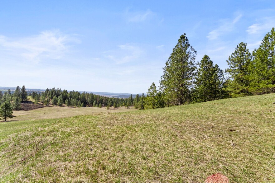 More Photos Of 15809 N Scribner Branch Rd, Spokane Land For Sale