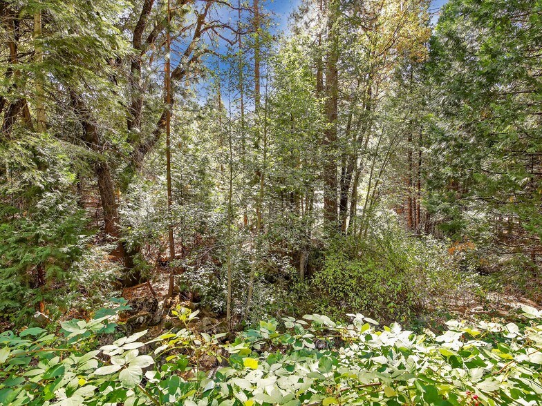 More Photos Of 13651 US Hwy 50, Kyburz Land For Sale