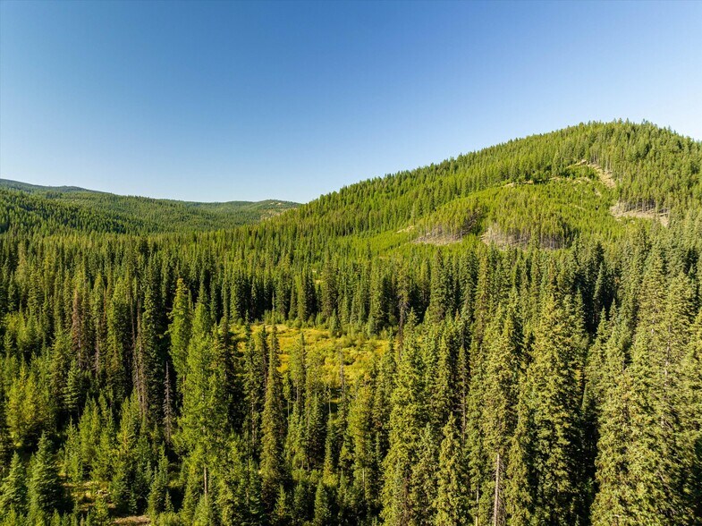 More Photos Of Nhn Logan Creek Road, Kila Land For Sale