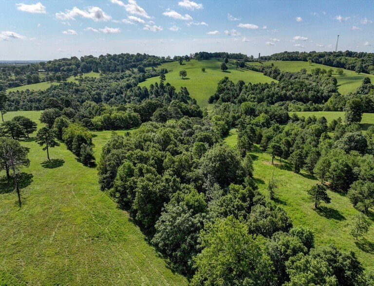 More Photos Of Hwy 65 and Old Hwy US 65, Omaha Land For Sale