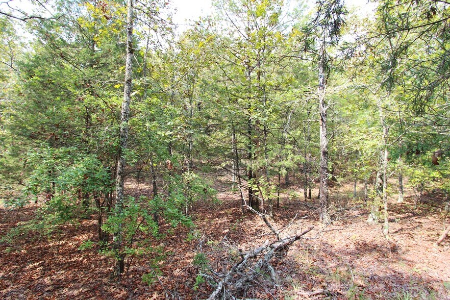 More Photos Of 226 Blythe rd, Greenbrier Land For Sale