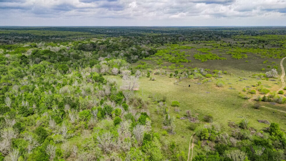 More Photos Of TBD Sparta Field Road, Waelder Land For Sale