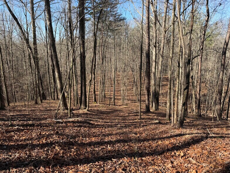 More Photos Of Elliott Family Pky @ Highway 53, Dawsonville Land For Sale