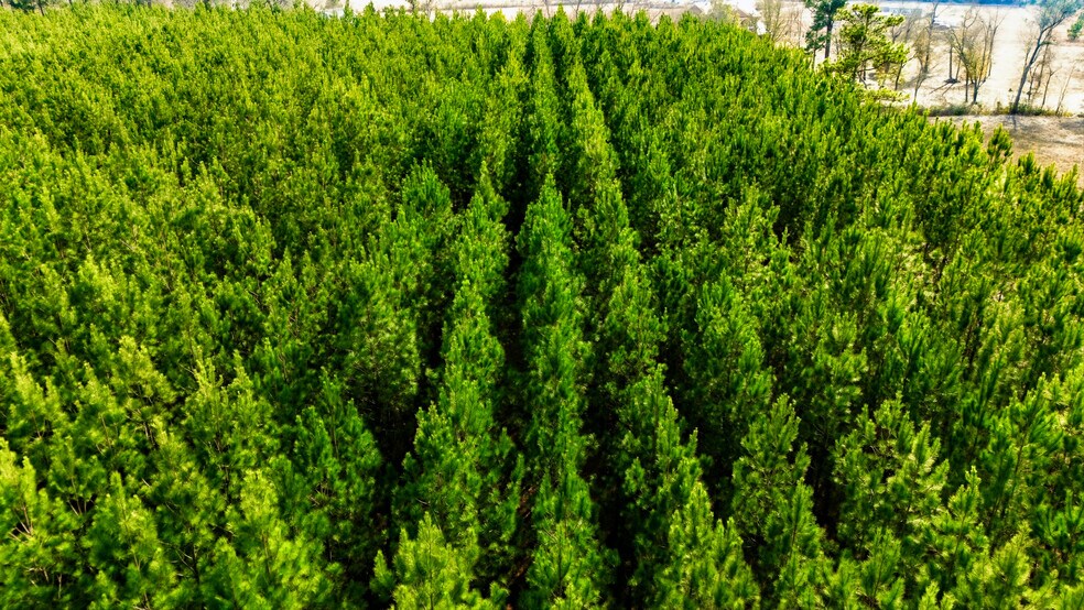 More Photos Of Highway 45, Loris Land For Sale