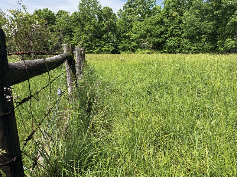 More Photos Of 2475 W County Road 1050 S, Cloverdale Land For Sale
