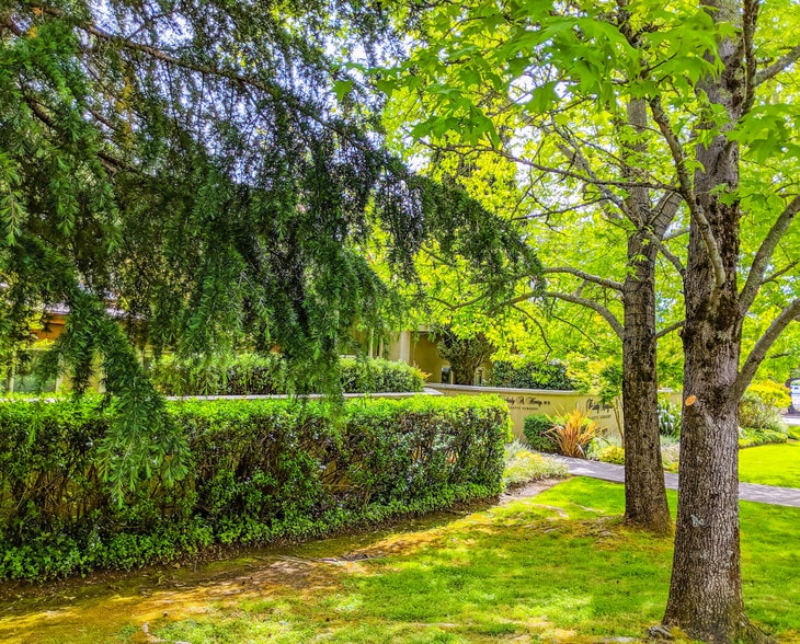 More Photos Of 350 Bon Air, Greenbrae Medical For Lease