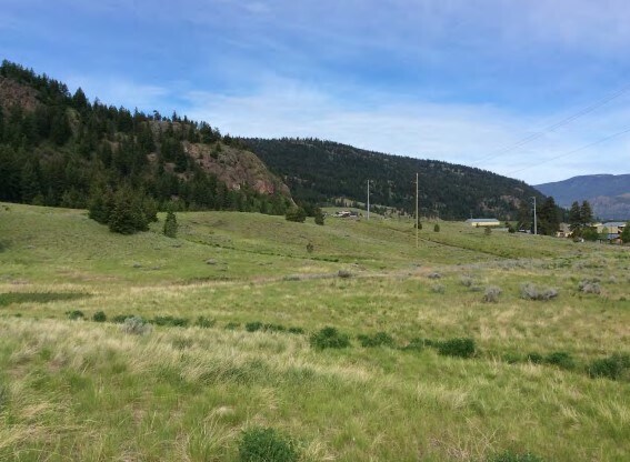 More Photos Of 1500 Willow Crescent, Merritt Land For Sale