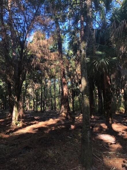 More Photos Of Richey Dr, Port Richey Land For Sale