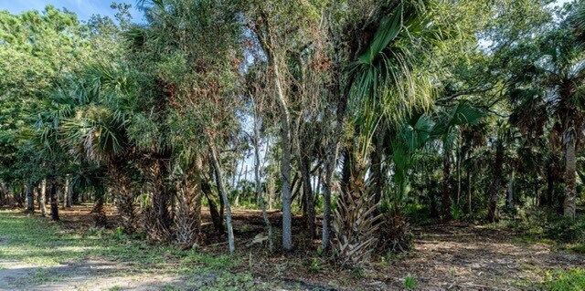 More Photos Of 3390 State Road A1A, Jacksonville Land For Sale
