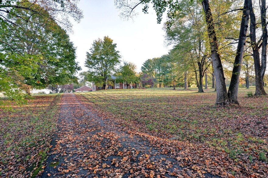 More Photos Of 16380 Forest Rd, Forest Land For Sale