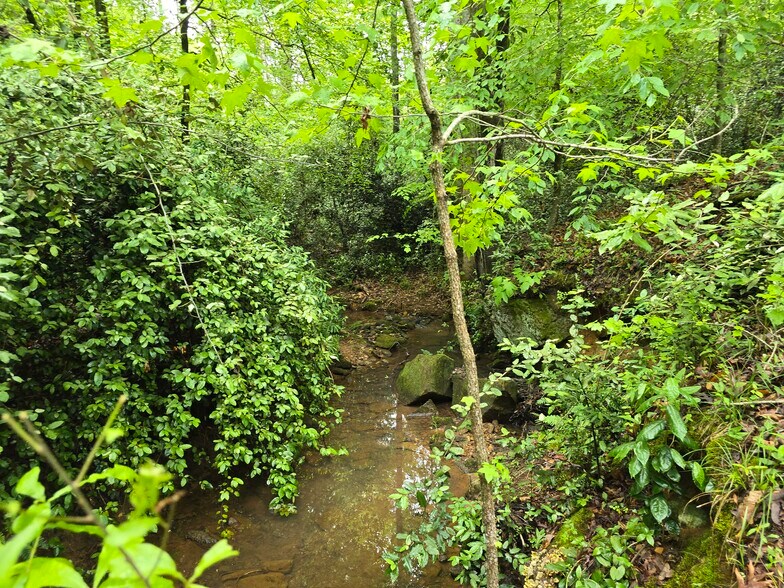 More Photos Of Davis Lake Rd @ Old Talbotton Rd, Thomaston Land For Sale